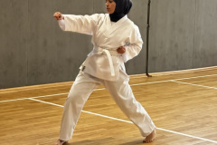 E37199C9-AB3A-49E3-A127-06D3939AC0D9_1_105_c