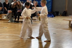 E99E01B7-16BA-4BE1-8215-2761926121BE_1_105_c