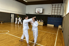 EF96B384-7FD8-4E12-A79E-6E76B5F52C69_1_105_c