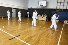 EFA053C2-9526-4D5B-B0A4-9252A36272C2_1_105_c