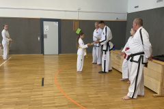 F8BB275C-C6E5-4A1E-A311-8751E7CF1800_1_105_c