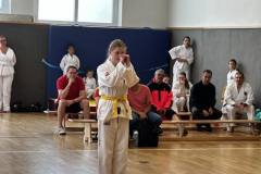 F9555E86-8D24-4CAD-9327-D3FAD632F68D_1_105_c